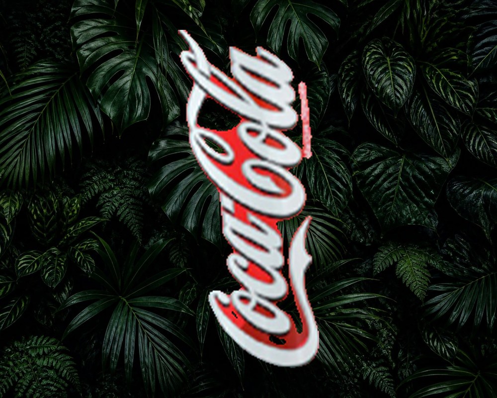 Coca-Cola 50cl